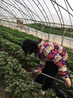 ad64951375780dcd503825aa61b37c3