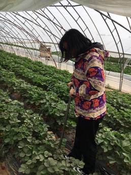 1a11dd7aaf4dfaa87b5379ffb3dc56a